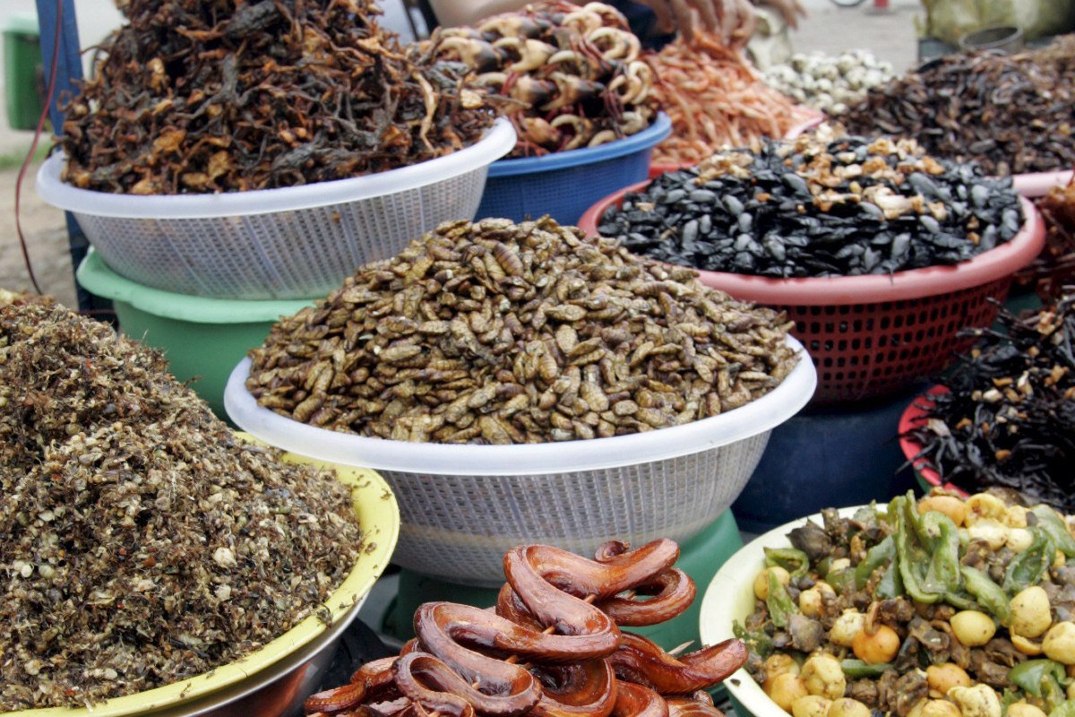 Η κατανάλωση εντόμων αντί για κρέας αποτυγχάνει, διαπιστώνει μελέτη