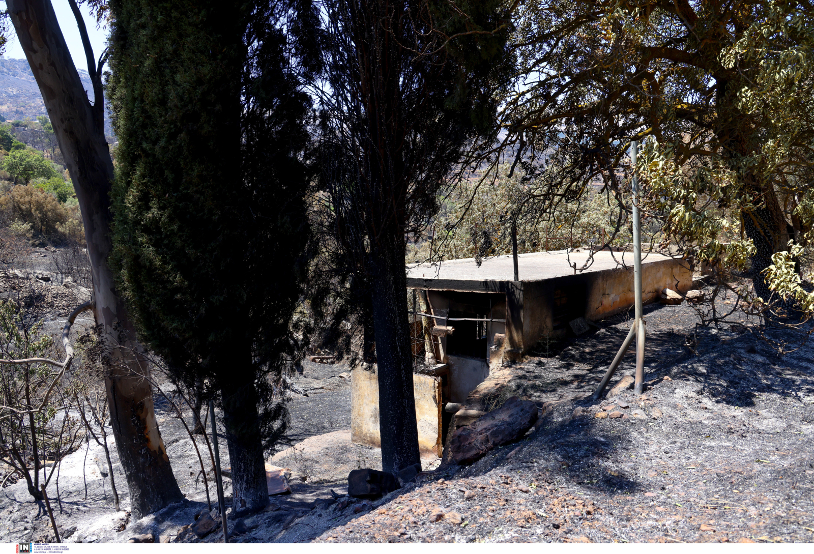 Φωτιά στη Χίο: Μεγάλη αναζωπύρωση στο βουνό Προβατά – Στάχτη πάνω από 47.000 στρέμματα