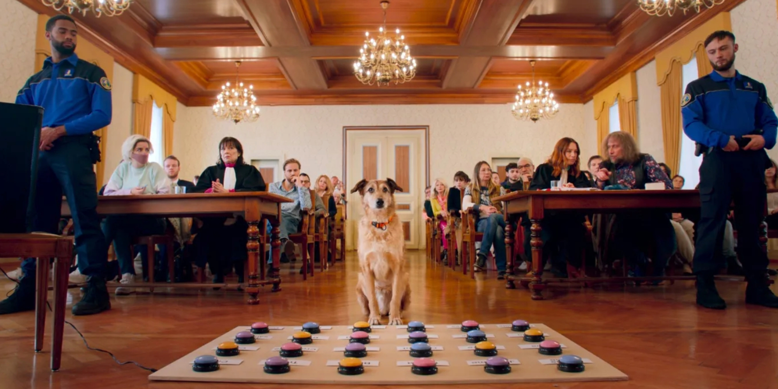 Οι ταινίες της εβδομάδας: Σκυλί στο εδώλιο, σκληρός Σιμενόν και Formula 1 με Μπραντ Πιτ