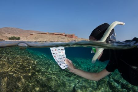 Κίνδυνος καμπάνας και για τις περιοχές Natura