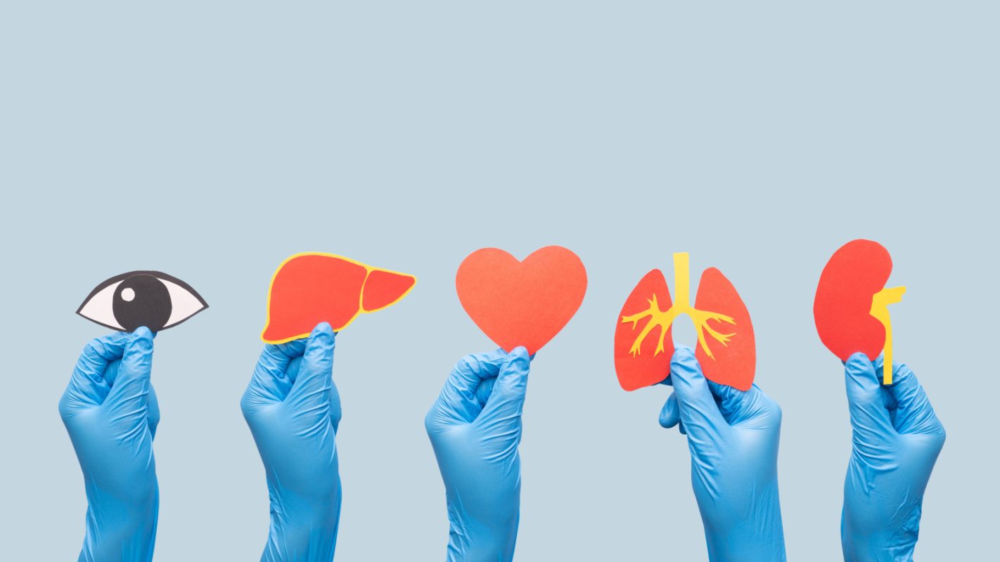 Η δωρεά οργάνων συγκινεί όλο και περισσότερους Ελληνες