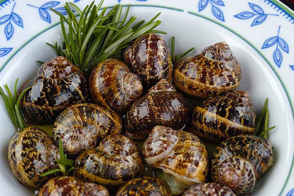 Χοχλιοί προς εξαφάνιση – Η έκκληση του δήμου Αποκόρωνα