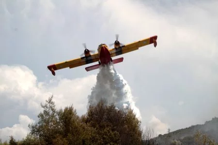 Φωτιά τώρα στην Επίδαυρο – Σηκώθηκαν εναέρια μέσα