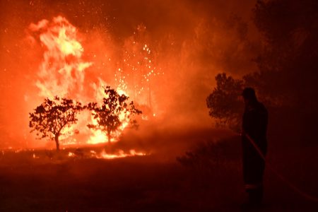 Φωτιά στα Ζαρκάδια Παρανεστίου Δράμας