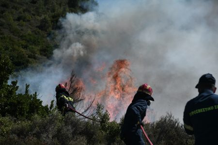 Φάρσαλα: Σε ύφεση η φωτιά στο Όρος Κασιδιάρης