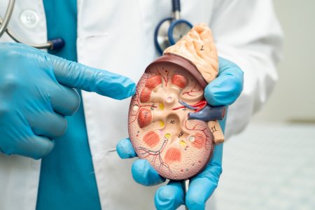 Νεφρική Δυσλειτουργία: Η πρόληψη βασική θεραπεία για μια αόρατη απειλεί που αφορά πάνω από 1 εκατομμύριο Έλληνες