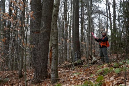 METEO: Πόσο ανεβαίνει η θερμοκρασία στις πυρόπληκτες περιοχές