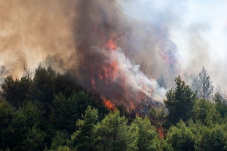 Φωτιά στα Κύθηρα: Καίει αγροτοδασική έκταση – Δυνάμεις και από τη Λακωνία – Εστάλη 112