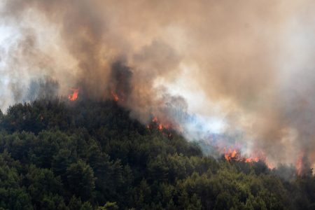 Ιωάννινα: Φωτιά στους Λιγκιάδες – Η καταγγελία του προέδρου της Κοινότητας