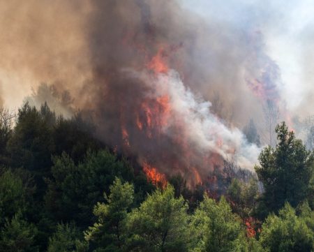 Υψηλός κίνδυνος πυρκαγιάς για την Τετάρτη – Ποιες περιοχές κινδυνεύουν