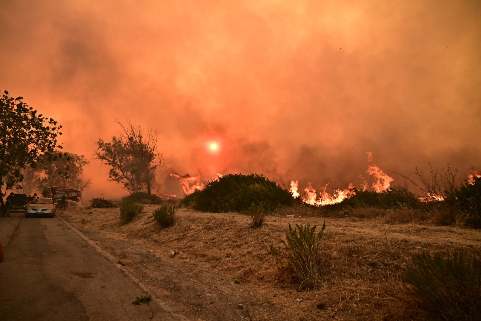 Φωτιά: Συλλήψεις και πρόστιμα σε Μεσσηνία, Θεσσαλονίκη, Αττική, Ξάνθη, Φθιώτιδα, Πέλλα και Χαλκιδική