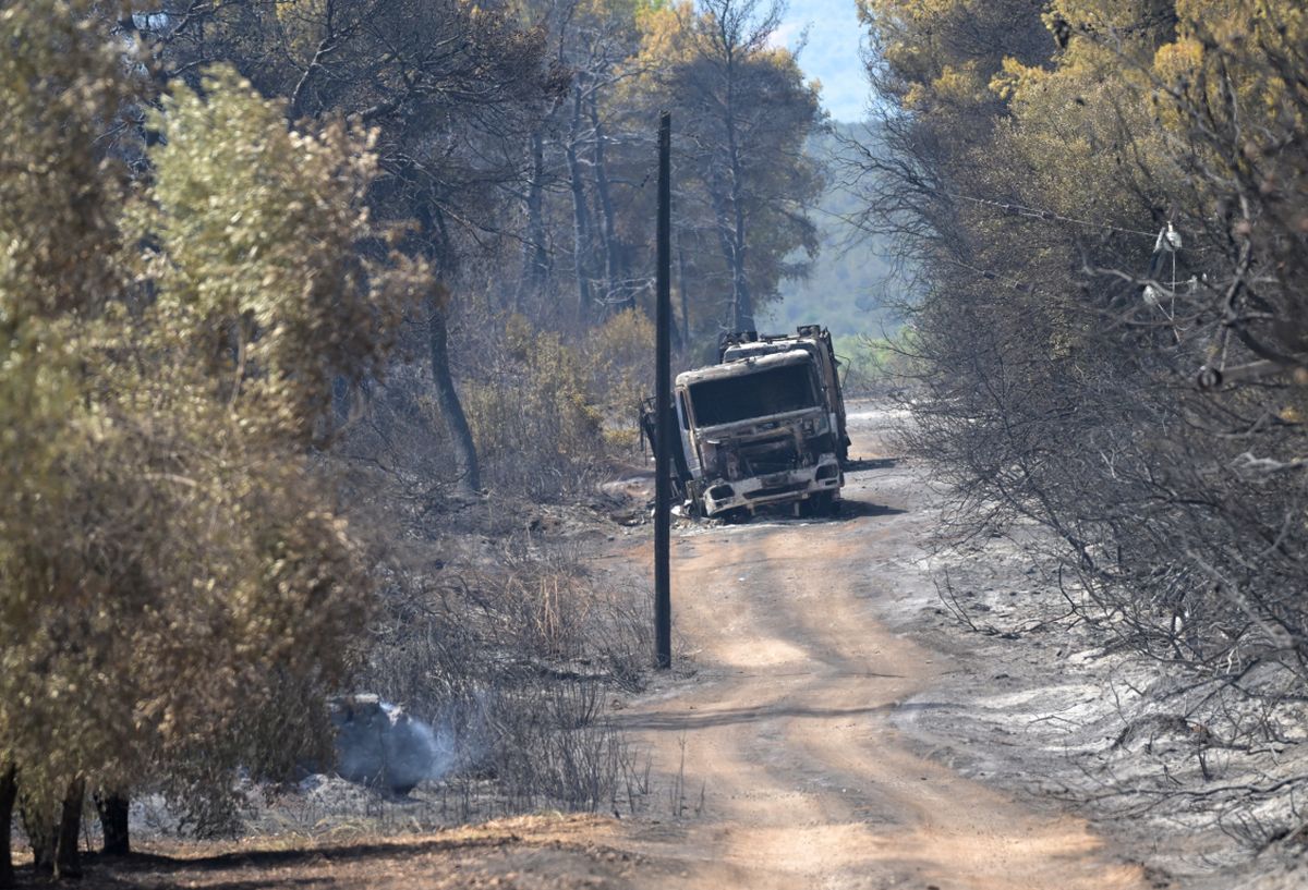 Meteo: Κάηκαν 41.959 στρέμματα σε Κρυονέρι, Κύθηρα και Εύβοια – Οι δορυφορικές εικόνες
