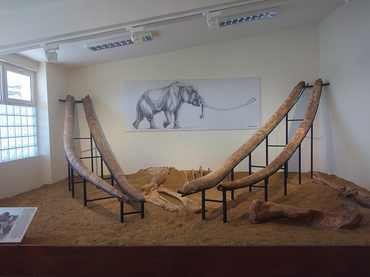 Διακοπές στο… παρελθόν!