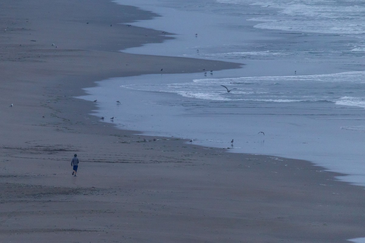 Σεισμός – Ρωσία: Εξερράγη το ηφαίστειο Κλιουτσέφσκοϊ, το τσουνάμι έφτασε στις ΗΠΑ – Συνεχής ενημέρωση