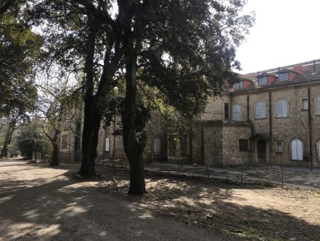 Πώς η ιστορία και η φύση αναβιώνουν στο Τατόι μετά την πυρκαγιά του 2021