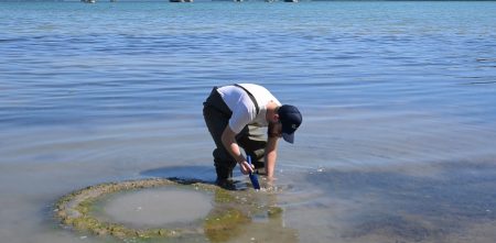 Νέα πρωτοβουλία στον Αμβρακικό Κόλπο από την Nestlé Ελλάς και την Εναλεία