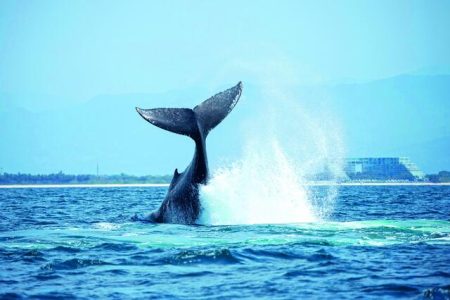 Η ΕΕ επενδύει 116 εκατ. ευρώ για την αποκατάσταση ωκεανών και υδάτων