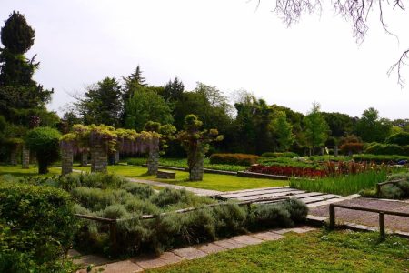 Ο Guardian αποθεώνει έναν κρυμμένο κήπο της Αθήνας που λίγοι γνωρίζουν