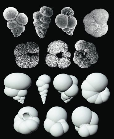 Ρομπότ-παλαιοντολόγοι