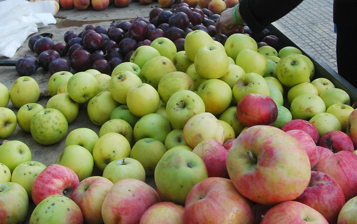 Πρόστιμα ύψους 56.000 ευρώ σε φορείς πιστοποίησης βιολογικών προϊόντων