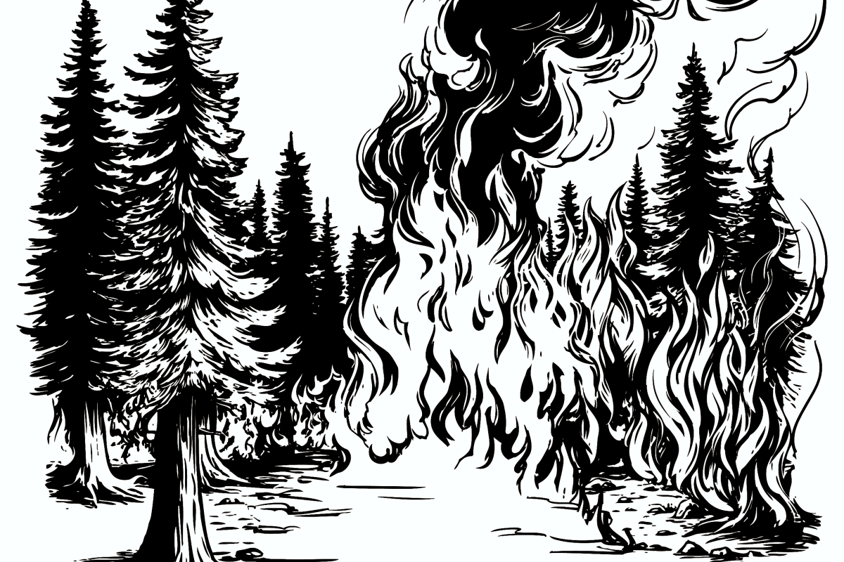 Οι πυρκαγιές που έρχονται