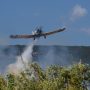 Φωτιά σε δασική έκταση στο Μουζάκι Καρδίτσας – Σηκώθηκαν εναέρια μέσα