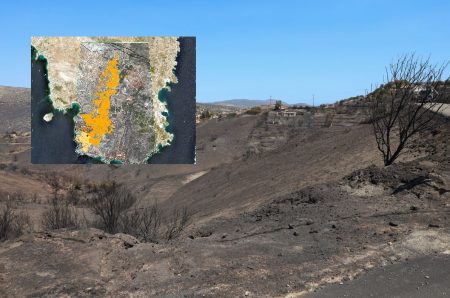 Copernicus: Τι κάηκε από τις φωτιές σε Αττική και Ηλεία – Δορυφορικές εικόνες