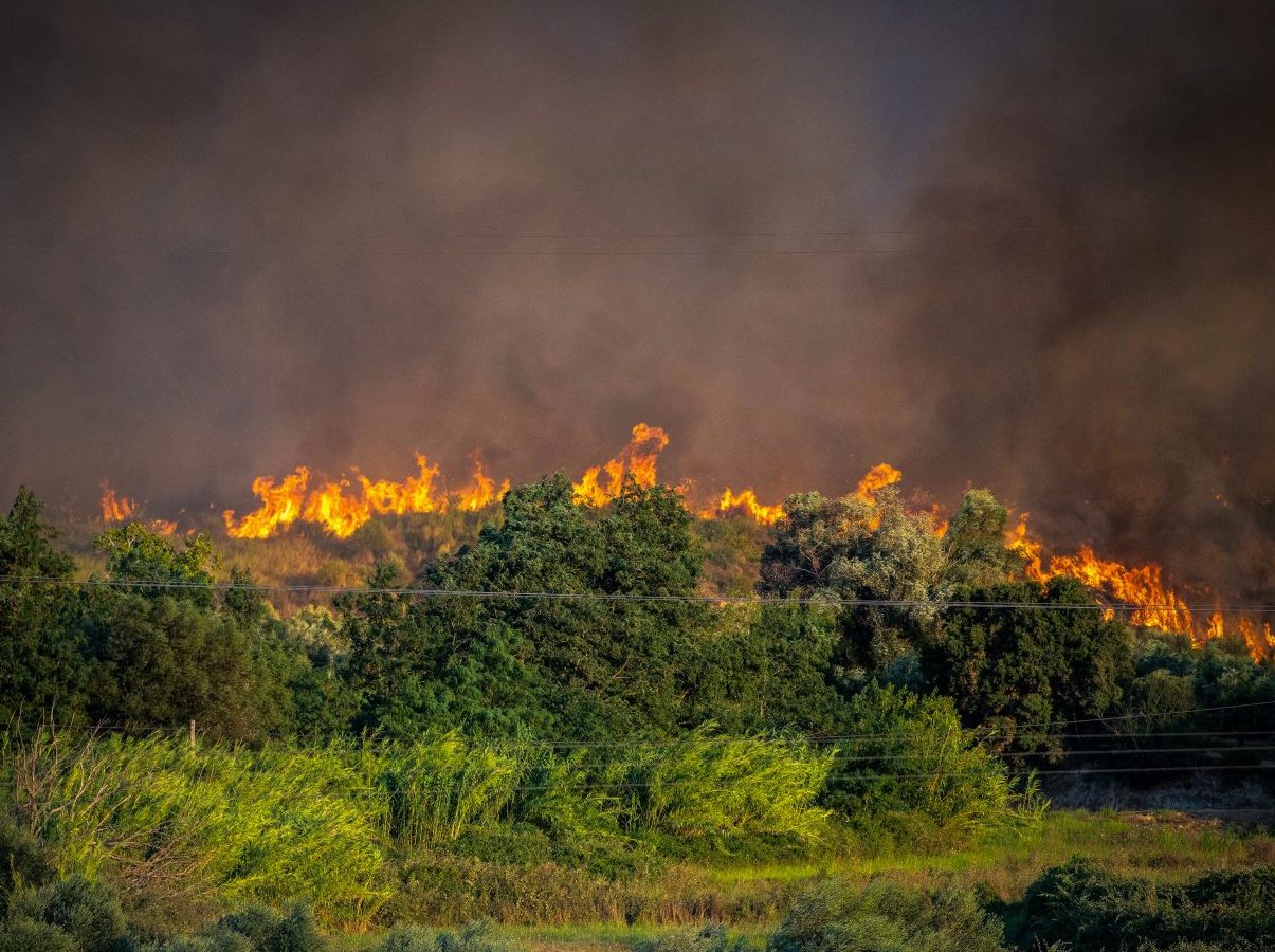 Φωτιά τώρα σε δασική έκταση στη Θεσπρωτία