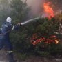 Θεσσαλονίκη: Σε εξέλιξη φωτιά στο Λιβάδι