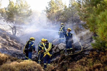 Φωτιά στη Χίο: Εκτάκτως πυροσβεστικές δυνάμεις από τη Μυτιλήνη