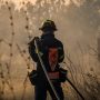 Μεσσηνία: Συνελήφθησαν πρώην πρόεδρος κοινότητας και πυροσβέστης για εμπρησμούς