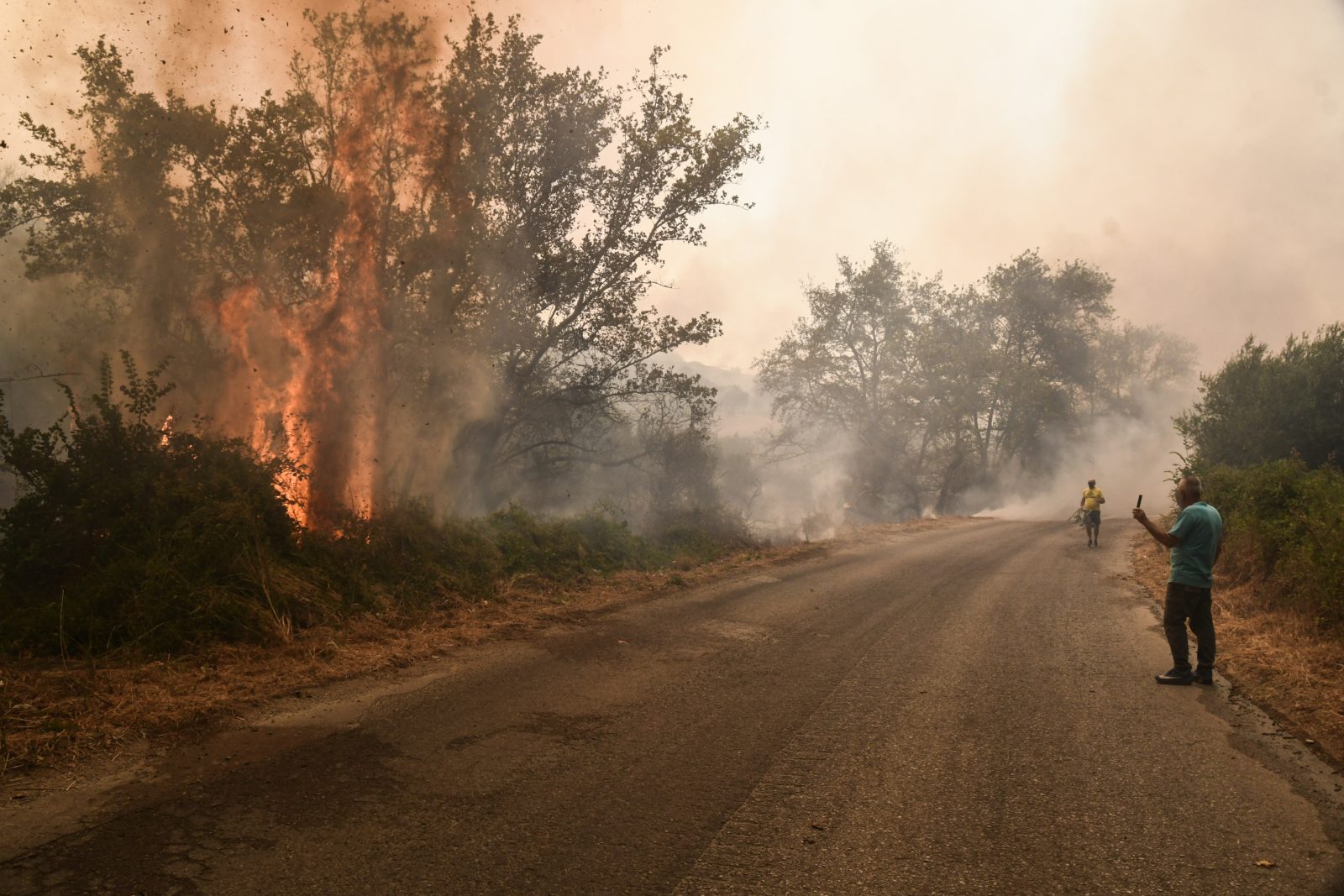 Φωτιά στην Πάτρα: Αναζωπύρωση στην περιοχή του Μπάλα