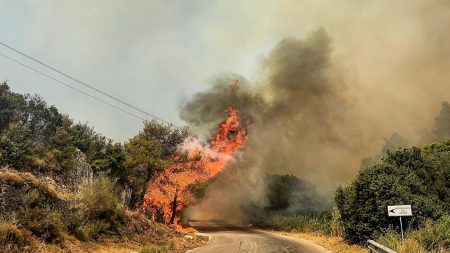 Το αντιπύρ που έσωσε σπίτια στη Ζάκυνθο