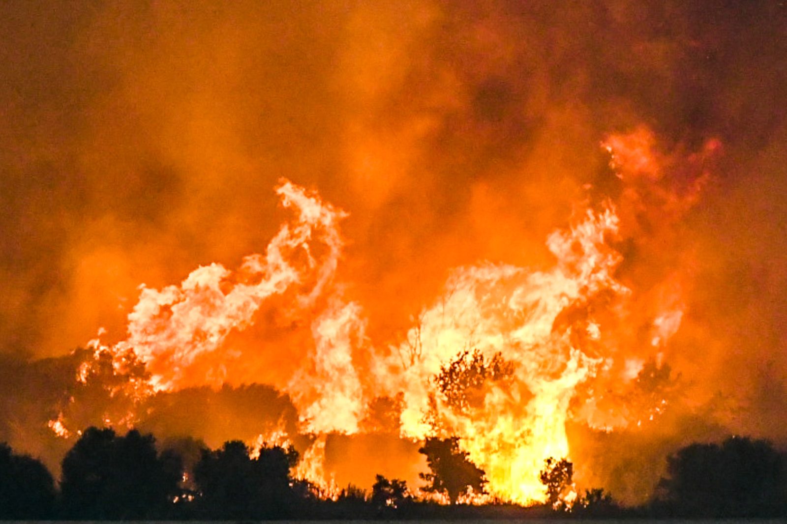 Πύρινη κόλαση σε Χίο και Πρέβεζα – Νέες φωτιές – Οριοθετήθηκε το μέτωπο στην Κάτω Αχαΐα