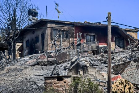 Ξεκίνησαν οι αυτοψίες στις περιοχές που επλήγησαν από τις πυρκαγιές