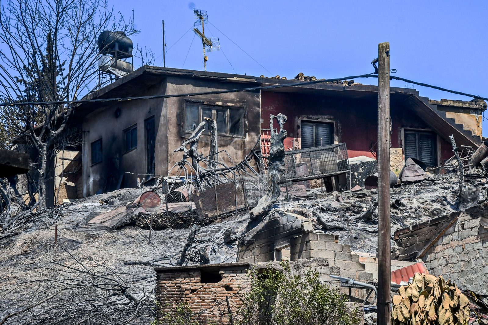 Ξεκίνησαν οι αυτοψίες στις περιοχές που επλήγησαν από τις πυρκαγιές