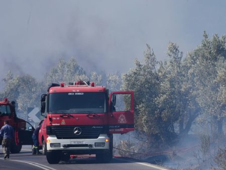 Φωτιά σε αγροτοδασική έκταση στην Αργολίδα – Επιχειρούν εναέρια μέσα