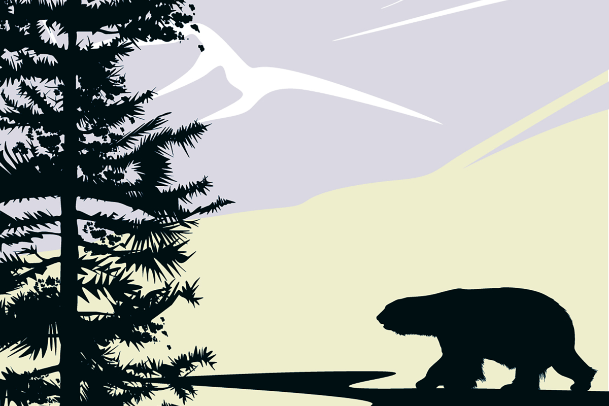 Τσάροι και βαρόνοι