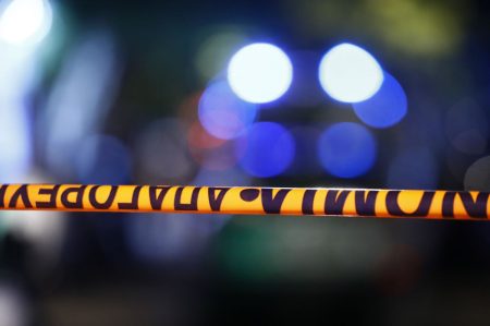 Μυστήριο με τα οστά στην Χαλκιδική: Αγνώστων στοιχείων, δεν έχει εντοπιστεί το κεφάλι