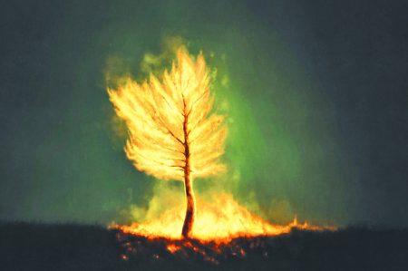 Το καλοκαίρι της ειρωνείας