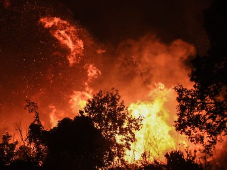 Κίνδυνος πυρκαγιάς: Πολύ υψηλός αύριο σε 6 περιφέρειες της Ελλάδας