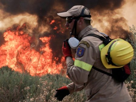 Φωτιά τώρα στην Καρδίτσα – Επιχειρούν εναέρια μέσα
