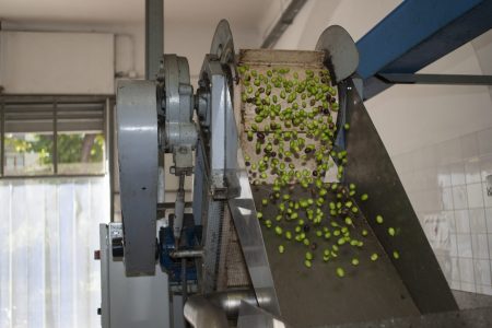 Θα εισάγουμε και λάδι από την Κίνα τώρα; Η μεγάλη απειλή, ποιος θα κερδίσει τη μάχη