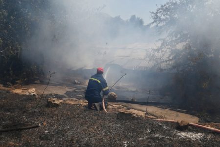Υπό μερικό έλεγχο η φωτιά στο Ράγιο Φιλιατών στη Θεσπρωτία