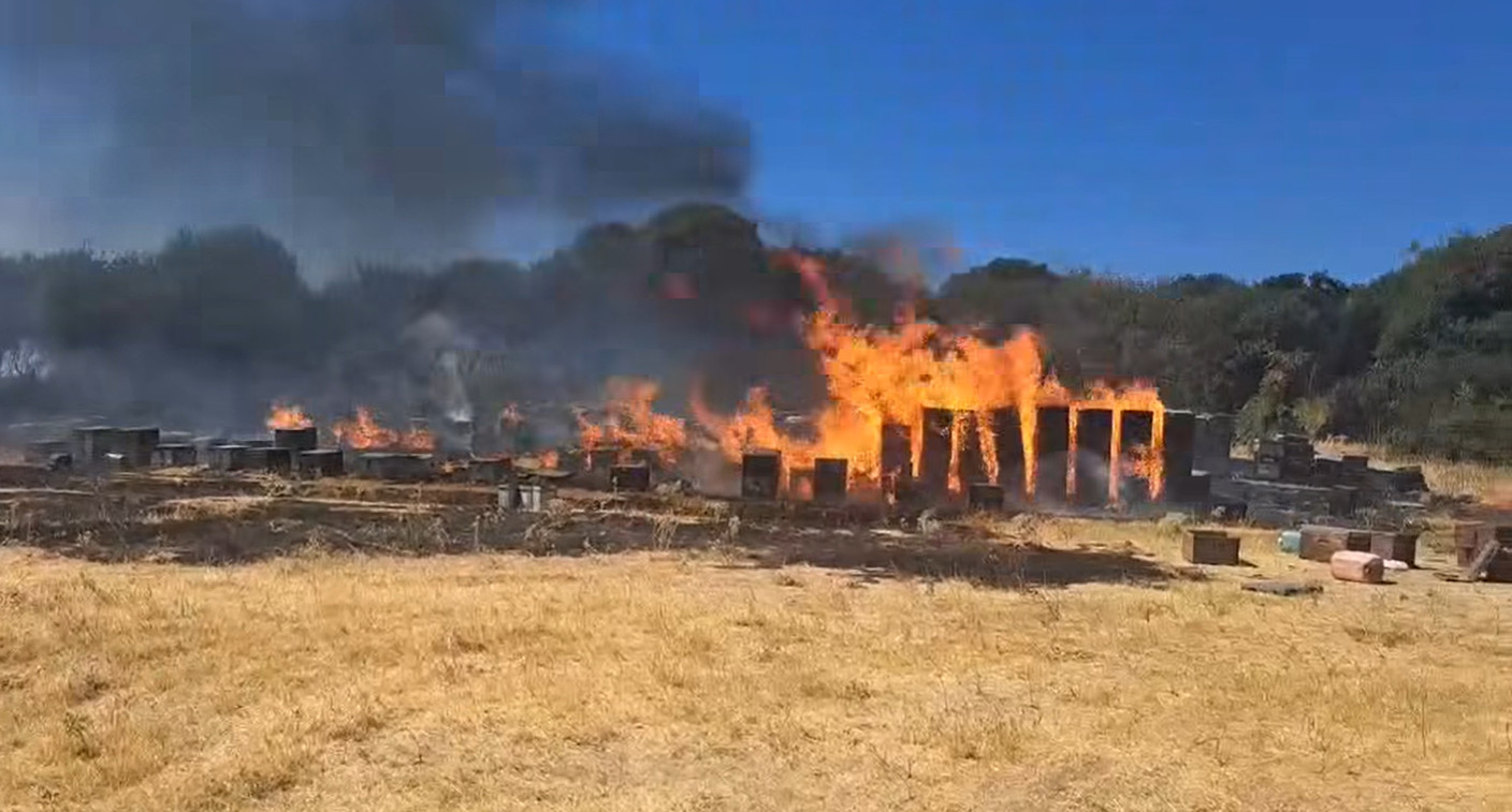 Θεσσαλονίκη: Συνελήφθη ένας άνδρας για τη φωτιά στον Χορτιάτη