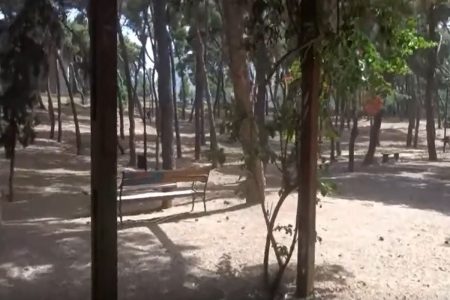 Ανοιχτό ξανά για το κοινό το Άλσος Χωροφυλακής