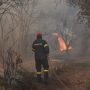 Δύο συλλήψεις για πυρκαγιά από αμέλεια στο Παλιό Τσιφλίκι Καβάλας