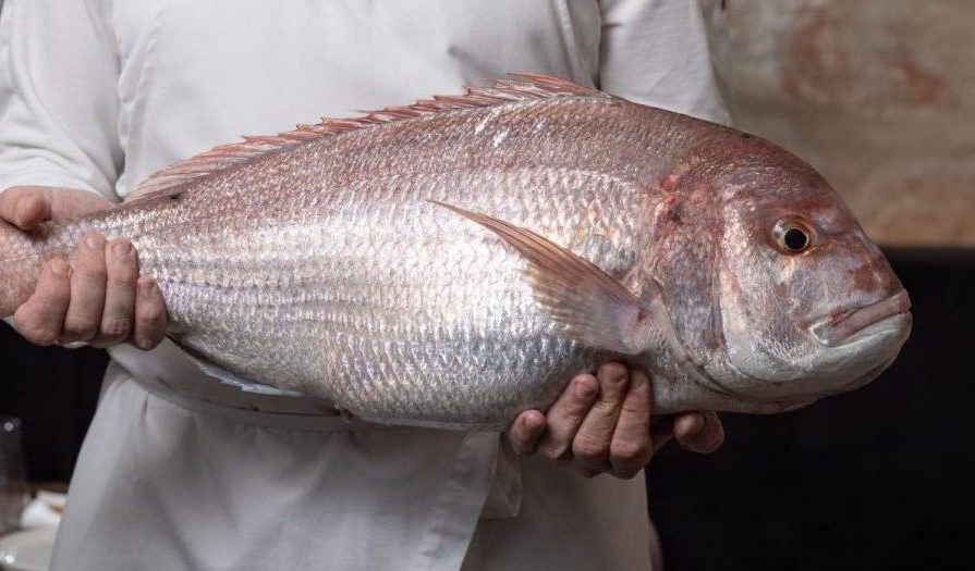 Ωμό Vs Ψημένο ψάρι; 2 κορυφαίοι σεφ απαντούν στο δίλημμα