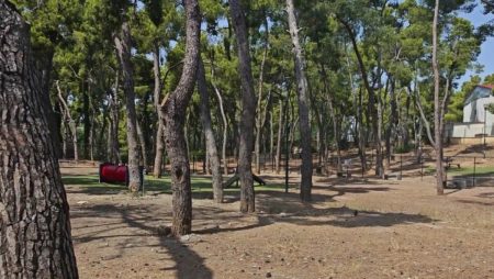 Χ. Δούκας: «Θα χυθεί άπλετο φως για το παράνομο νεκροταφείο ζώων στο Άλσος Χωροφυλακής»