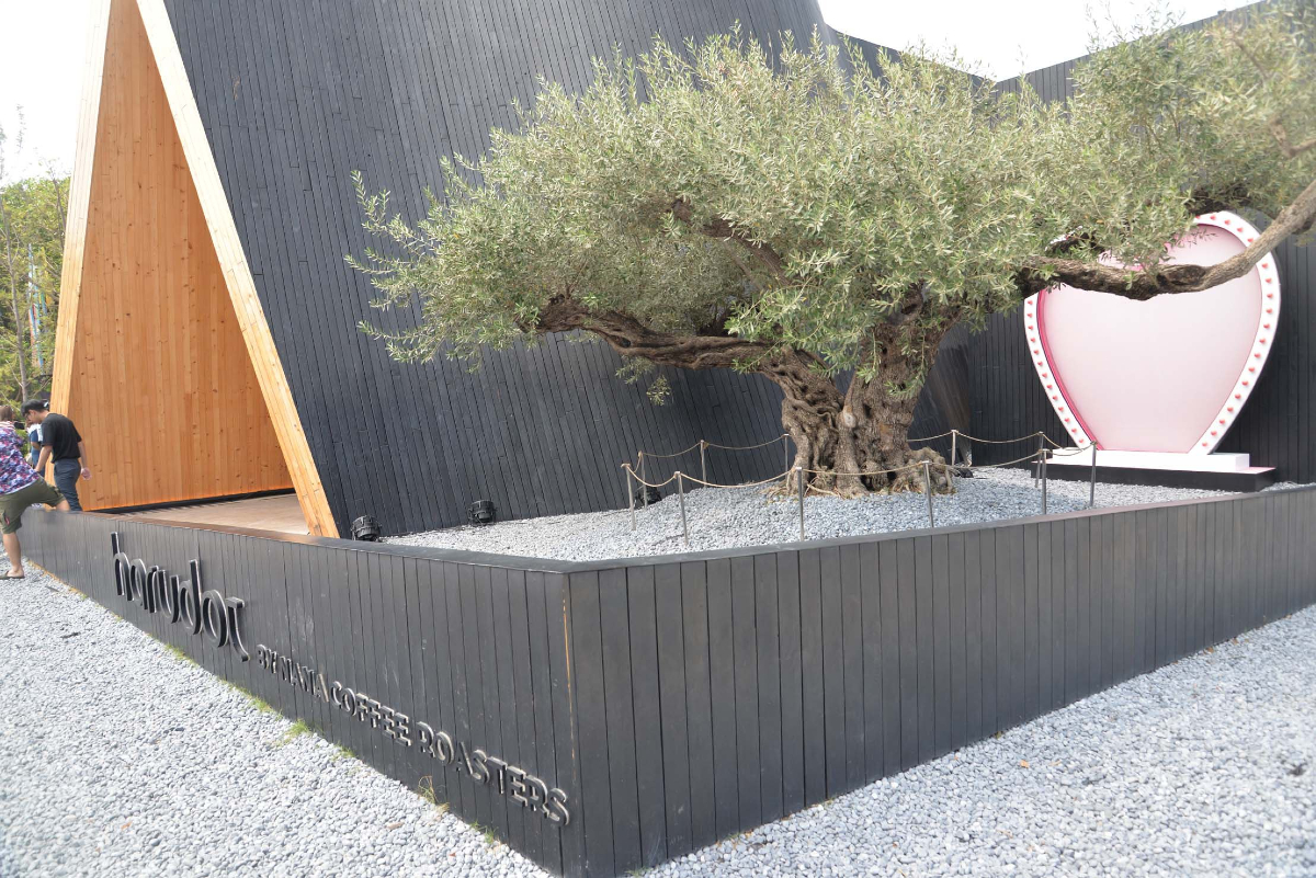 Καφεΐνη και Design